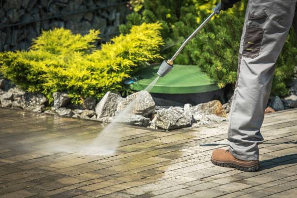 Best Roof Cleaning and Mildew Removal in Harrisville, WV
