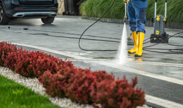 Best Building Exterior Pressure Washing in Harrisville, WV